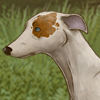 custom by #16934: What an energetic little dog!